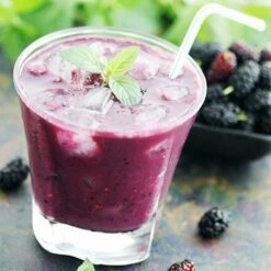 Morus Rotundiloba 'Mojoberry' Dwarf Mulberry -Yougarden Shop 310092 6