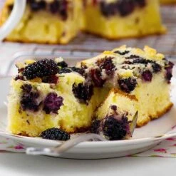 Morus Rotundiloba 'Mojoberry' Dwarf Mulberry -Yougarden Shop 310092 7