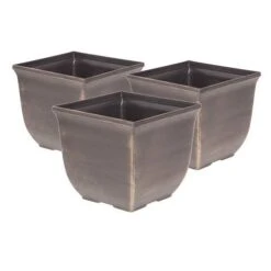 Complete Blueberry Vaccinium Kit -Yougarden Shop 310123 6