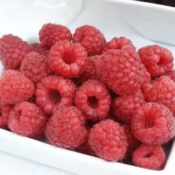 Patio Raspberry 'Sweet Sunshine' -Yougarden Shop 330052 2