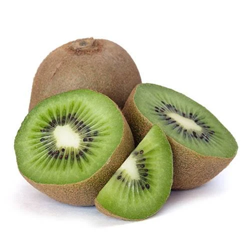 Self-fertile Kiwi 'Jenny' 4 Self-fertile Kiwi 'Jenny' - Image 2