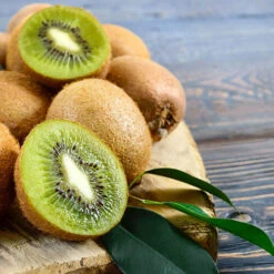 Self-fertile Kiwi 'Jenny' 11 Self-fertile Kiwi 'Jenny' -Yougarden Shop 340028 3
