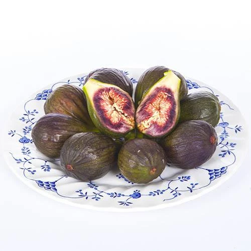 Hardy Fig 'Brown Turkey' 4 Hardy Fig 'Brown Turkey' - Image 2