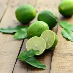 Citrus Grove Collection, Orange, Lemon And Lime 16 Citrus Grove Collection, Orange, Lemon And Lime -Yougarden Shop 340081 6