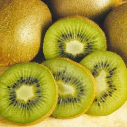 Actinidia Deliciosa - Kiwi Fruit 'Jenny' -Yougarden Shop 340098 3
