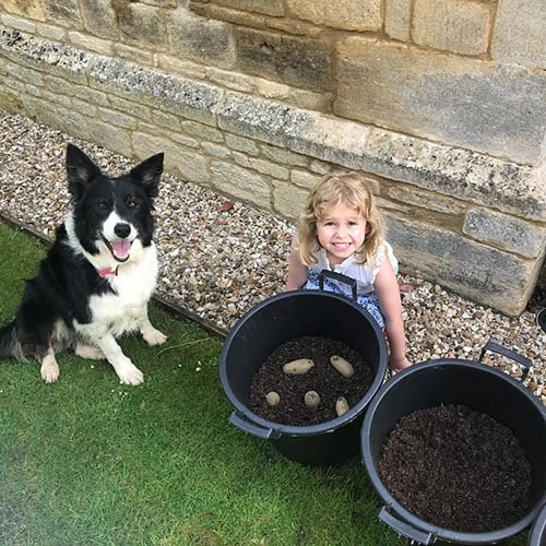 Complete Patio Potato Growing Kit 8 Complete Patio Potato Growing Kit - Image 6