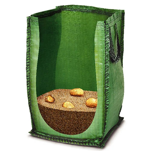 Patio Potato Grow Bag Kit 8 Patio Potato Grow Bag Kit - Image 6