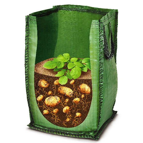 Patio Potato Grow Bag Kit 9 Patio Potato Grow Bag Kit - Image 7