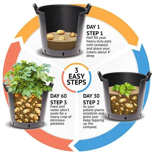 Complete Patio Potato Top-up Kit 5 Complete Patio Potato Top-up Kit - Image 3
