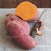 Sweet Potato Ipomoea Erato Orange 1 Sweet Potato Ipomoea Erato Orange -Yougarden Shop 350085
