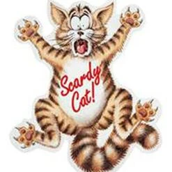 Coleus Canina 'Scardy Cat Plant' -Yougarden Shop 400092 3