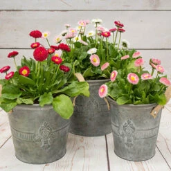 Front Page -Yougarden Shop 401163 1