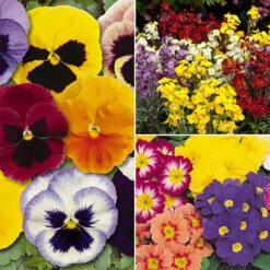 The Ultimate Winter Garden Ready Bedding Collection