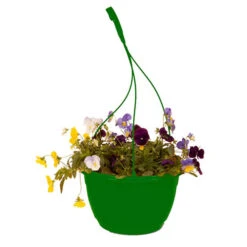 Preplanted 'Pansy Cool Wave' Hanging Basket 7 Preplanted 'Pansy Cool Wave' Hanging Basket -Yougarden Shop 450022 2