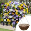 Preplanted 'Pansy Cool Wave' Rattan Basket 1 Preplanted 'Pansy Cool Wave' Rattan Basket -Yougarden Shop 450152
