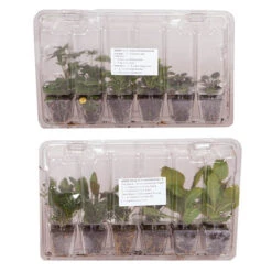 Complete Hardy Garden Perennial Collection 15 Complete Hardy Garden Perennial Collection -Yougarden Shop 480050 4