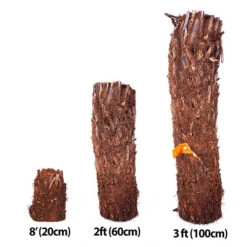 Tree Fern Dicksonia Antarctica Log 17 Tree Fern Dicksonia Antarctica Log -Yougarden Shop 500071 6