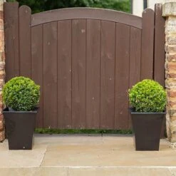Pair Of Buxus Box Balls -Yougarden Shop 500084 2