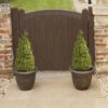 Pair Of Buxus Box Pyramids -Yougarden Shop 510034