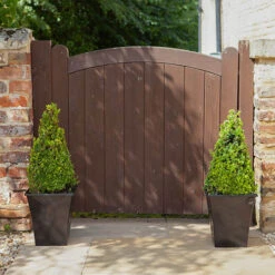 Pair Of Buxus Box Pyramids -Yougarden Shop 510034 2