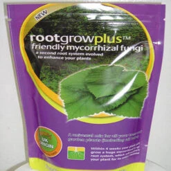 Rose Duke Of Edinburgh 19 Rose Duke Of Edinburgh -Yougarden Shop 540034 8