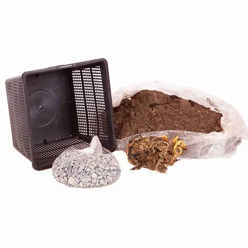 Water Lily Planting Kit - White 7 Water Lily Planting Kit - White - Image 5