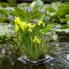Floating Pond Plant Raft -Yougarden Shop 580030