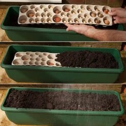 Blooming Fast Drop In Bulb Planter Balcony Beauty Pack 14 Blooming Fast Drop In Bulb Planter Balcony Beauty Pack -Yougarden Shop 630107 5