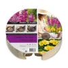 Gladiolus & Freesia Drop-In Bulb Pack 1 Gladiolus & Freesia Drop-In Bulb Pack -Yougarden Shop 630175