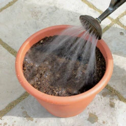 Blooming Fast Drop In Bulb Planter Tulip And Muscari Kit 11 Blooming Fast Drop In Bulb Planter Tulip And Muscari Kit -Yougarden Shop 630187 4