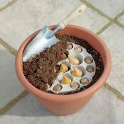 Blooming Fast Drop In Bulb Planter Tulip And Crocus Kit -Yougarden Shop 630188 3