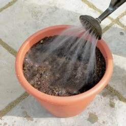 Blooming Fast Drop In Bulb Planter Tulip And Crocus Kit -Yougarden Shop 630188 4