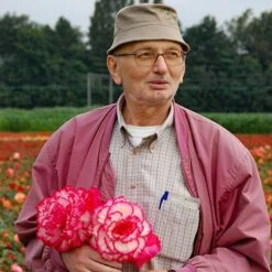 Belgian Giant Flowered Upright Begonias 11 Belgian Giant Flowered Upright Begonias -Yougarden Shop 630192 4