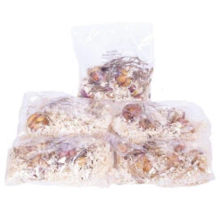 Skyscraper Lily Collection -Yougarden Shop 630326 7