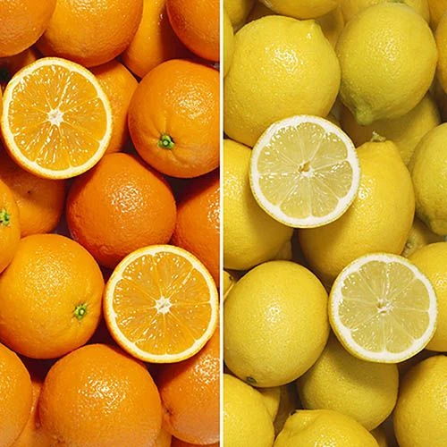 Orange & Lemon Collection With Feed 6 Orange & Lemon Collection With Feed - Image 4
