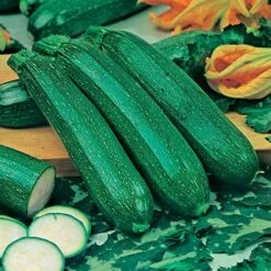 Greens Vegetable Seed Collection -Yougarden Shop 700051 3