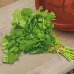 Herb Seed Collection -Yougarden Shop 700052 4