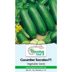 Premium Seed Collection -Yougarden Shop 700057 5