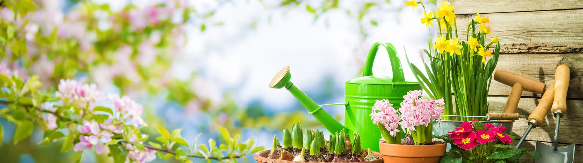 Front Page -Yougarden Shop 6543